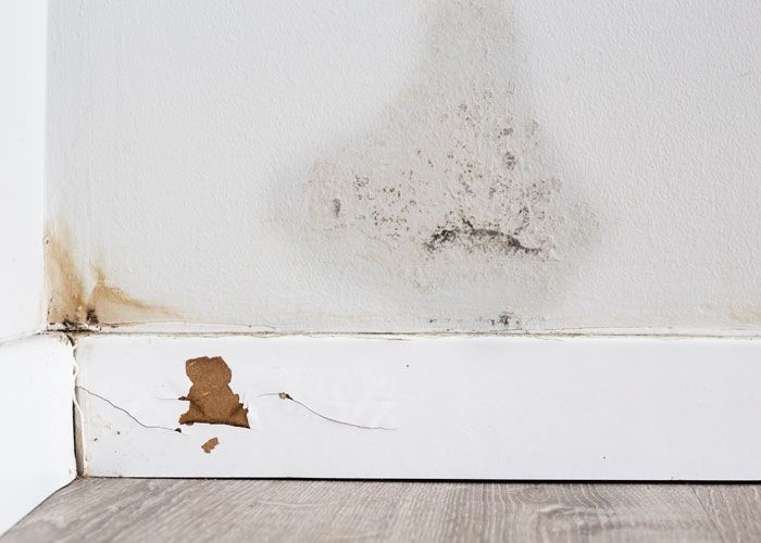 empresa de humedad por filtración en Madrid