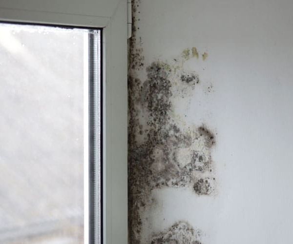 empresa de humedad por condensación en Madrid