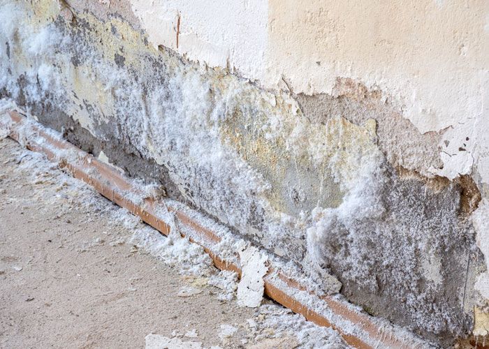 empresa de humedad por capilaridad en Madrid