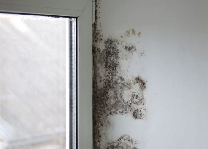 empresa de humedad por condensación en Madrid