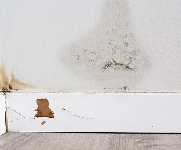 empresa de humedad por filtración en Madrid