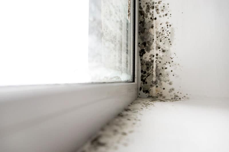 condensacion-en-ventanas
